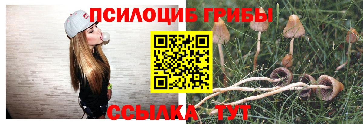 Псилоцибиновые грибы мухоморы  Псилоцибиновые грибы MAGIC MUSHROOMS  Вход с VPN  Пятигорск 